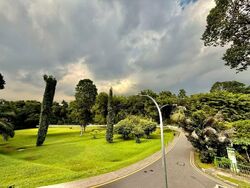 Cluny Park (D10), Detached #568064491